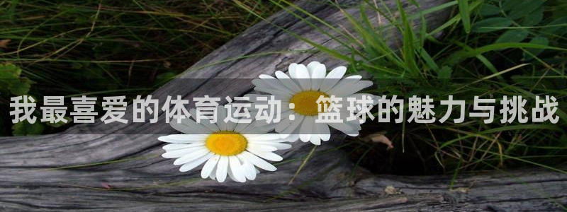 熊猫体育nba：我最喜爱的体育运动：篮球的魅力与挑战