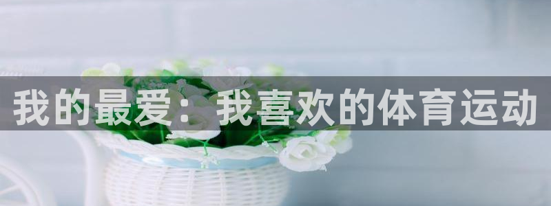 熊猫体育app官方下载最新版：我的最爱：我喜欢的体育运动