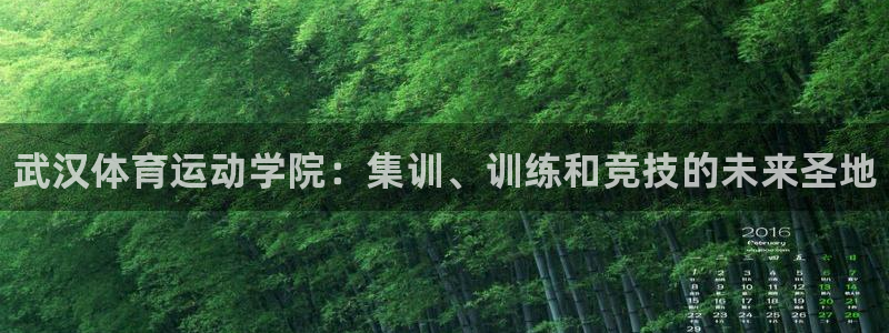 熊猫体育免费下载：武汉体育运动学院：集训、训练和竞技的未来圣地
