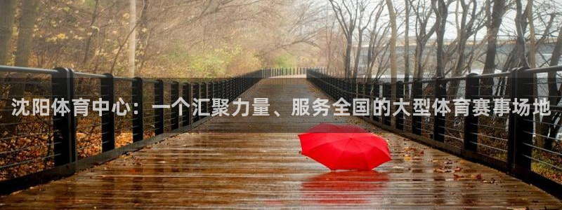 熊猫体育app官网入口：沈阳体育中心：一个汇聚力量、服务全国的大型体育赛事场地