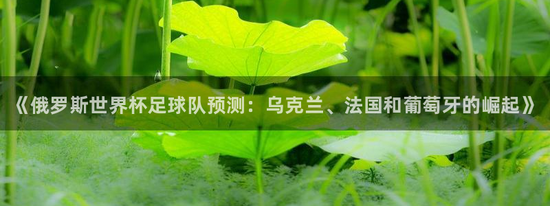 熊猫体育网站：《俄罗斯世界杯足球队预测：乌克兰、法国和葡萄牙的崛起》