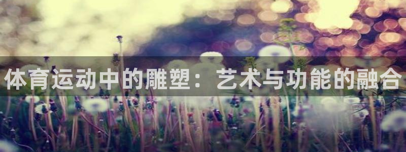 熊猫体育手机版：体育运动中的雕塑：艺术与功能的融合