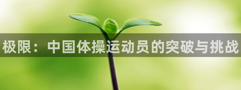 熊猫体育sports：极限：中国体操运动员的突破与挑战