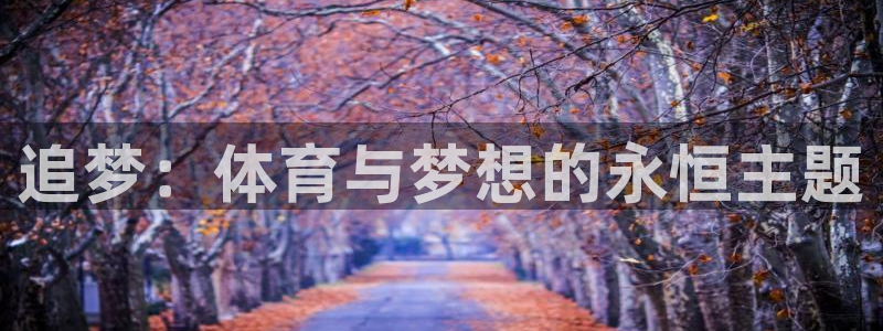 熊猫体育app官方下载最新版：追梦：体育与梦想的永恒主题