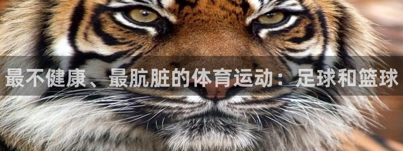 熊猫体育app下载安装：最不健康、最肮脏的体育运动：足球和篮球
