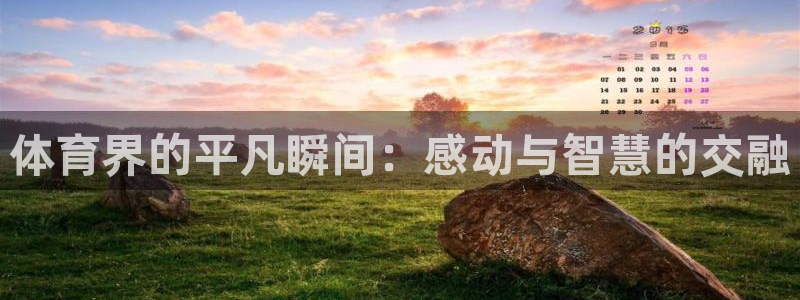 熊猫体育网站：体育界的平凡瞬间：感动与智慧的交融
