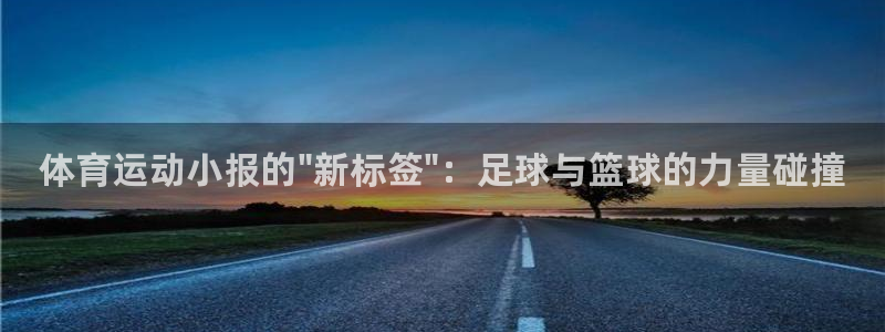 熊猫体育nba：体育运动小报的\
