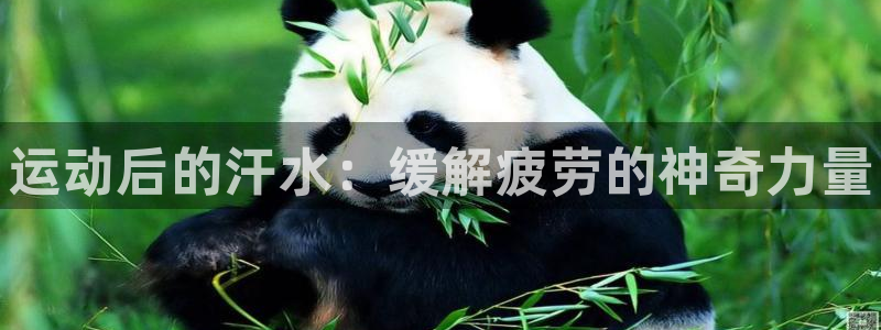 熊猫体育在线：运动后的汗水：缓解疲劳的神奇力量