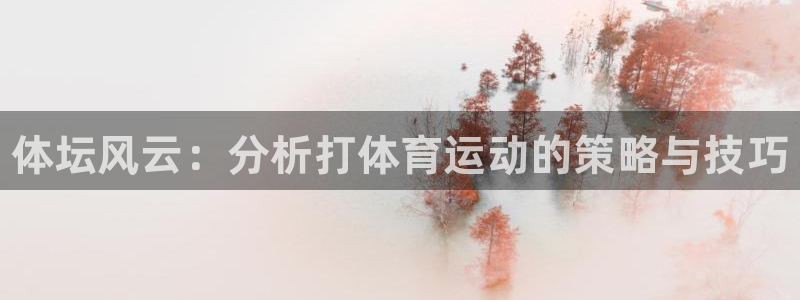 熊猫体育手机版：体坛风云：分析打体育运动的策略与技巧