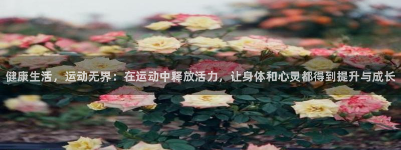 熊猫体育文化有限公司：健康生活，运动无界：在运动中释放活力，让身体和心灵都得到提升与成长