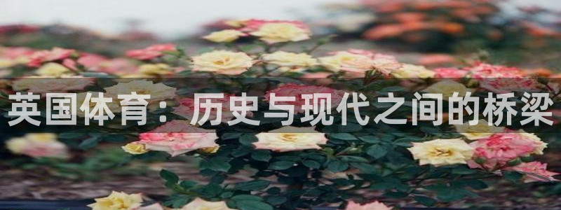 熊猫体育v3.新网页.org：英国体育：历史与现代之间的桥梁
