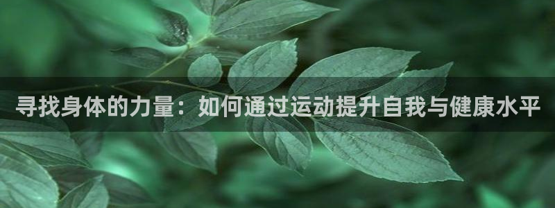 熊猫体育官网首页入口：寻找身体的力量：如何通过运动提升自我与健康水平