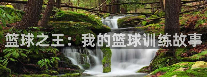 熊猫体育官网：篮球之王：我的篮球训练故事