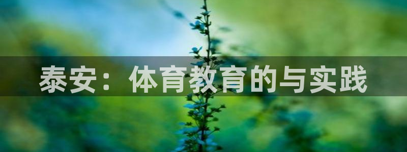 熊猫体育公园：泰安：体育教育的与实践
