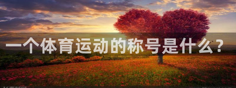 熊猫体育文化有限公司：一个体育运动的称号是什么？
