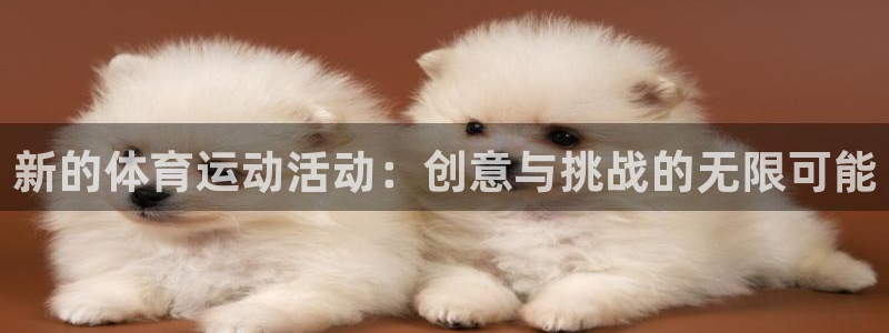 熊猫体育公园：新的体育运动活动：创意与挑战的无限可能