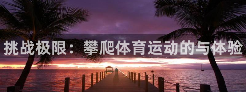 熊猫体育网站：挑战极限：攀爬体育运动的与体验