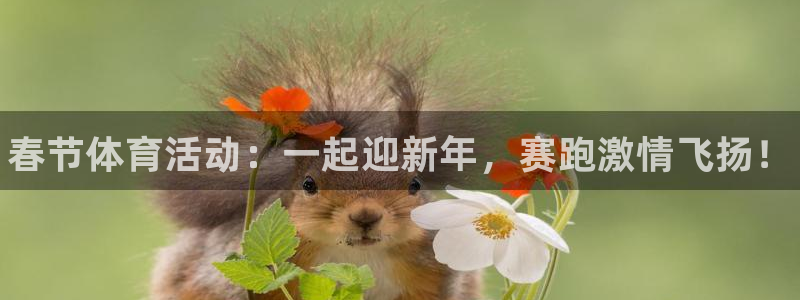 熊猫体育免费下载：春节体育活动：一起迎新年，赛跑激情飞扬！