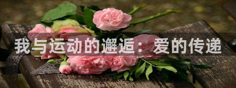 熊猫体育手机版：我与运动的邂逅：爱的传递