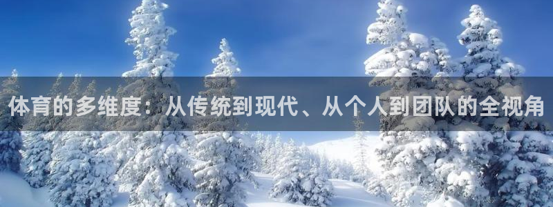 熊猫体育平台：体育的多维度：从传统到现代、从个人到团队的全视角