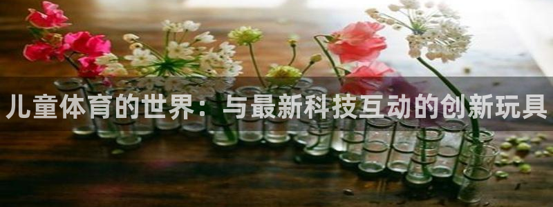 中山熊猫体育：儿童体育的世界：与最新科技互动的创新玩具