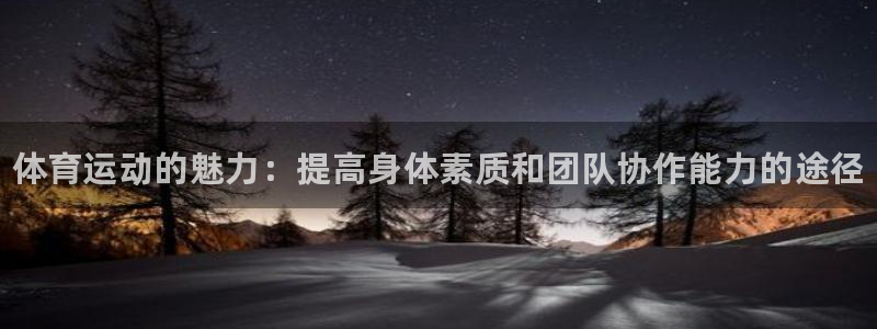 熊猫体育公园：体育运动的魅力：提高身体素质和团队协作能力的途径