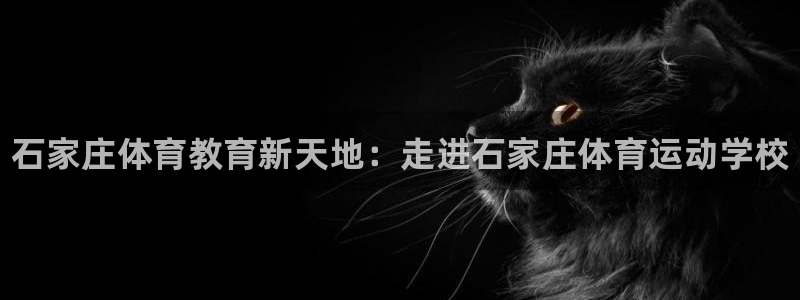 熊猫体育文化有限公司：石家庄体育教育新天地：走进石家庄体育运动学校