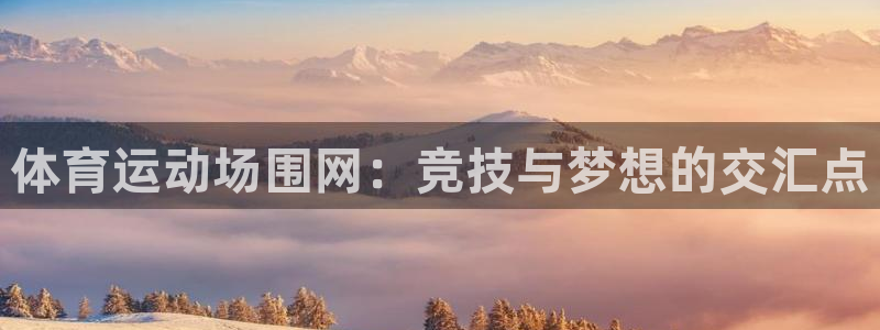 熊猫体育官网首页入口：体育运动场围网：竞技与梦想的交汇点