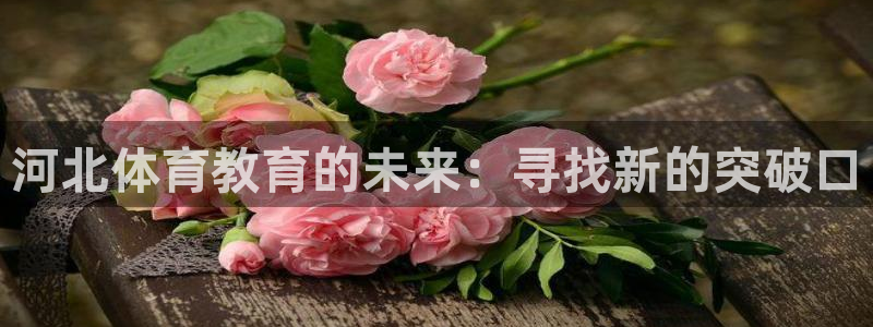 熊猫体育直播：河北体育教育的未来：寻找新的突破口