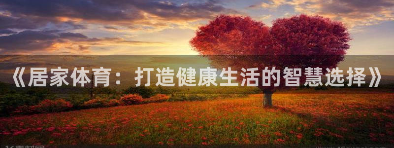 下载熊猫体育：《居家体育：打造健康生活的智慧选择》