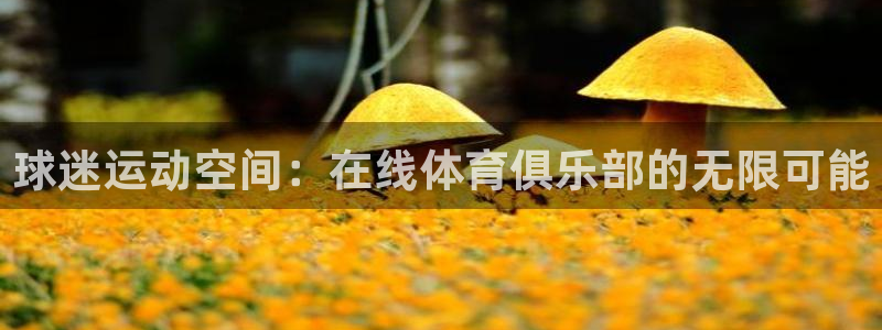 熊猫体育官网：球迷运动空间：在线体育俱乐部的无限可能