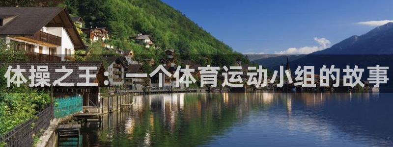 动感熊猫体育公园：体操之王：一个体育运动小组的故事