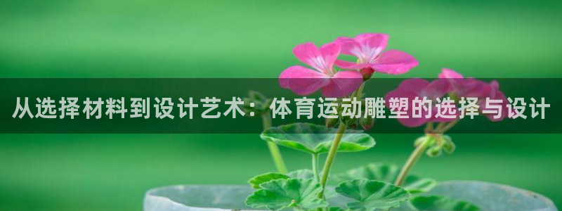 成都熊猫体育公园：从选择材料到设计艺术：体育运动雕塑的选择与设计