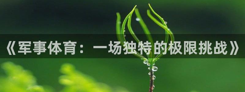 熊猫体育平台：《军事体育：一场独特的极限挑战》