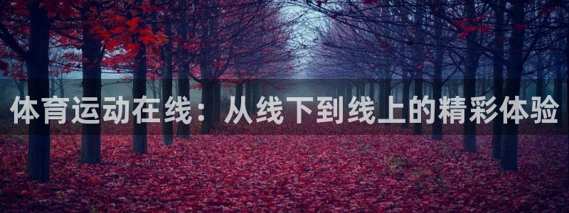 熊猫体育app官方下载最新版：体育运动在线：从线下到线上的精彩体验