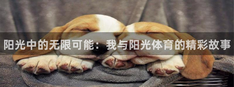 熊猫体育app下载安装：阳光中的无限可能：我与阳光体育的精彩故事